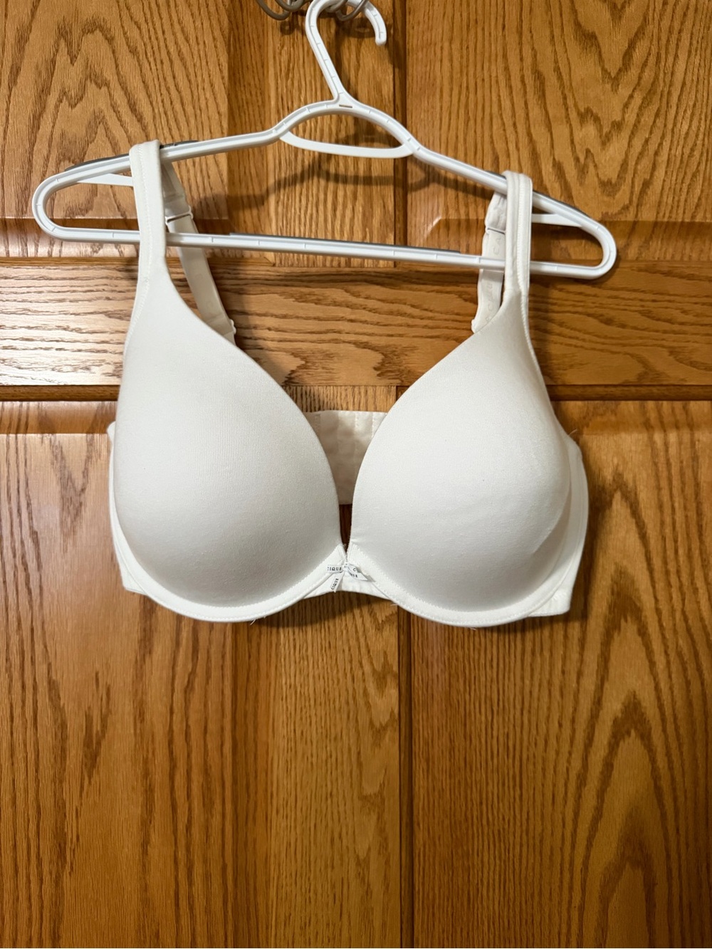 Lane Bryant Smooth T-Shirt Bra in Cream